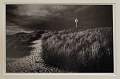 Dune Path Winterton on Sea by Barry Freeman